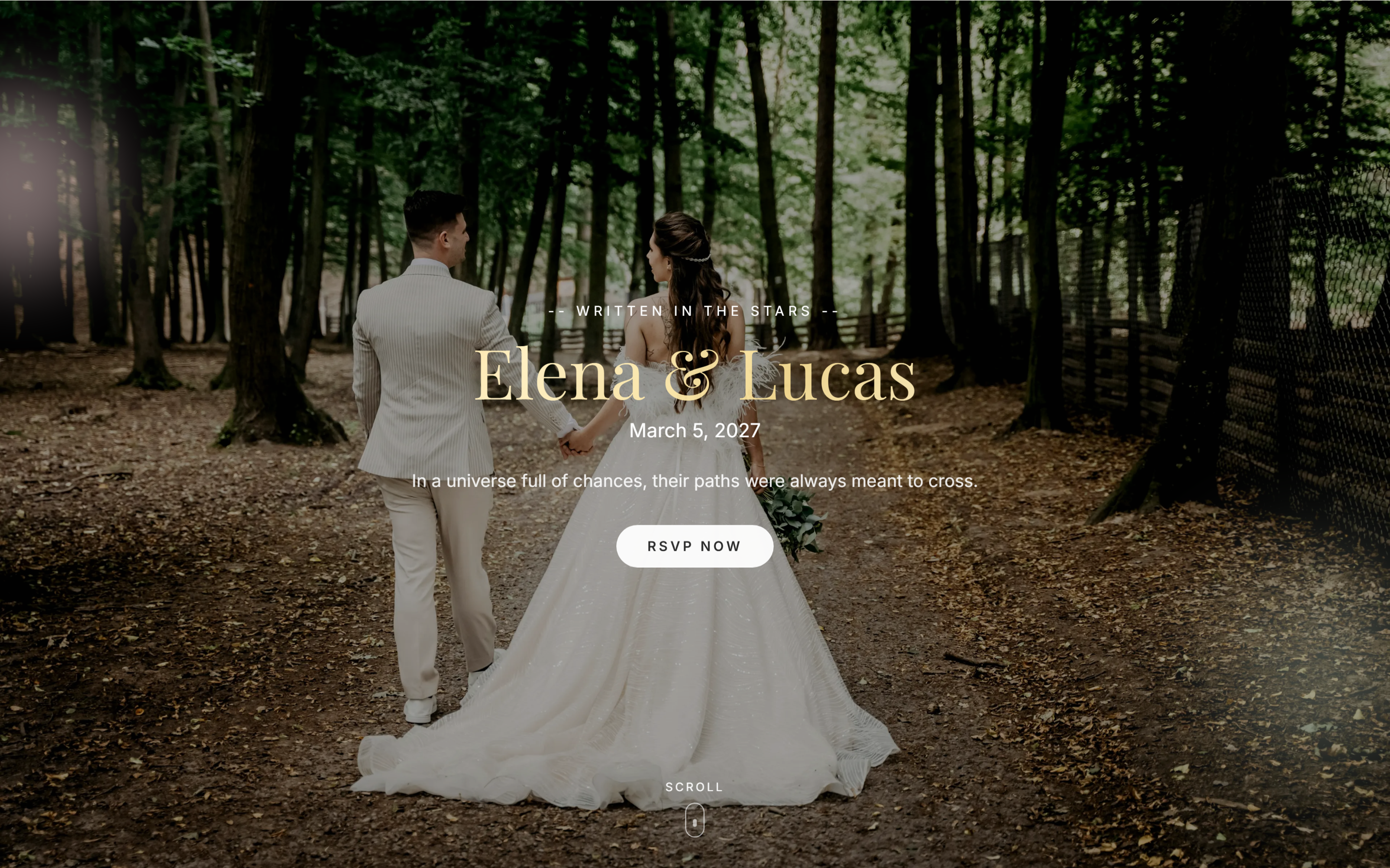 Wedding sites with RSVPs desktop screenshot